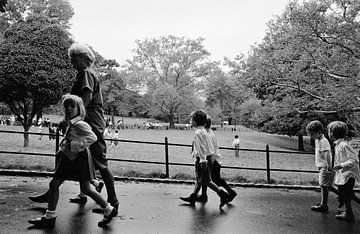 Central park New York by Raoul Suermondt