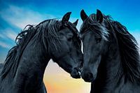 Fries Paard