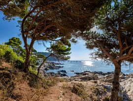 Camì de Ronda de Calella a Llafranc, Calella de Palafrugel von Rene van der Meer