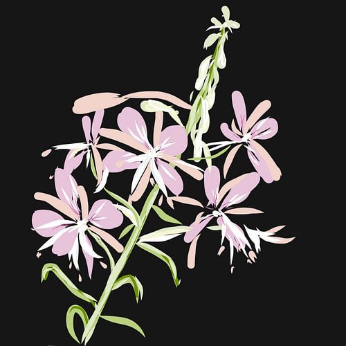 fleurs sur fond noir