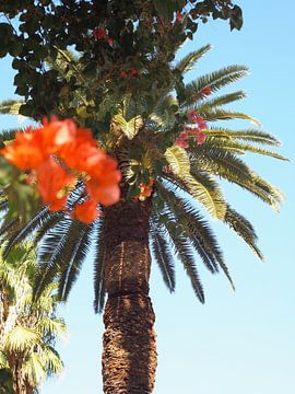 Tropische bloemen palmboom van raisa haveman