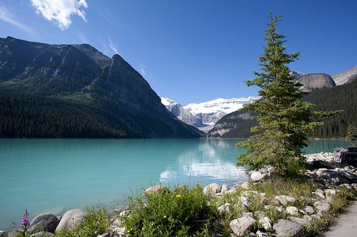 Der Loise-See in Kanada 3