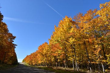 Een landweggetje in de herfst van Claude Laprise