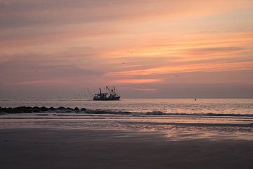 Ostend shrimp boat
