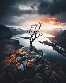 Baum im Sonnenaufgang