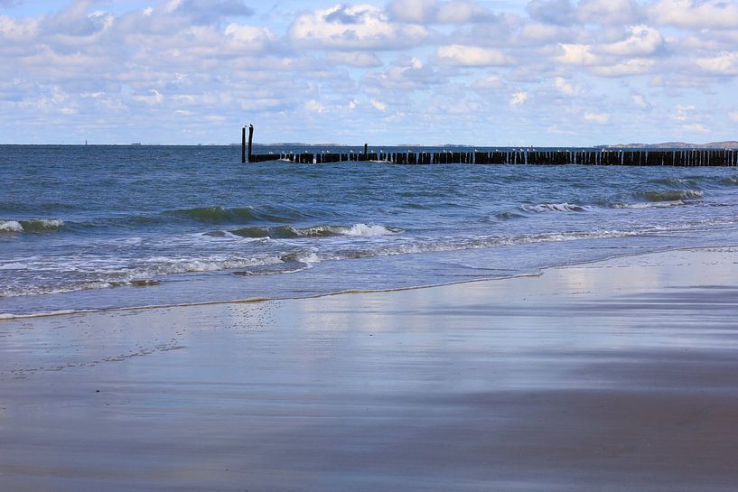 North Sea Coast in Holland by Thomas Jäger