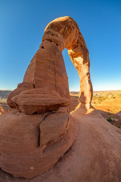 Zarter Bogen: Ein Meisterwerk der Naturskulptur II von Gerry van Roosmalen