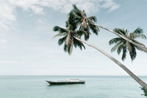 A tropical island in Indonesia