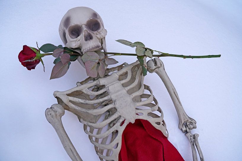Squelette d'amour éternel avec une rose rouge dans la neige blanche par Babetts Bildergalerie