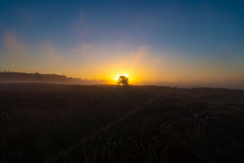 La lande de Drentse au lever du soleil