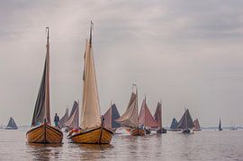 Grote groep Botters by Brian Morgan