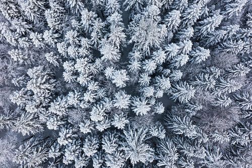 L'hiver en Forêt-Noire vu du ciel