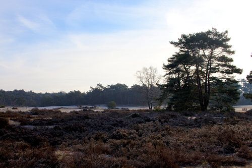 Soesterduinen, Nederland