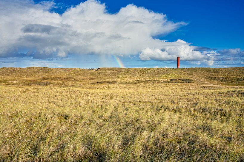 paysage de dunes Julianadorp par eric van der eijk