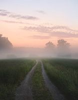 Mistige weg