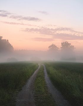 Foggy road, Christian Lindsten van 1x