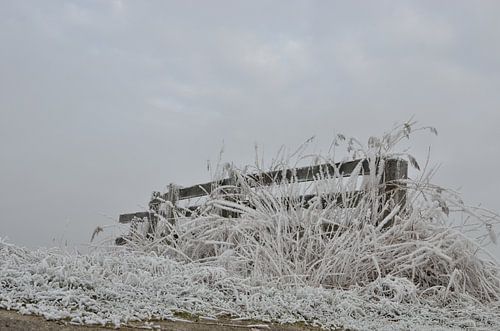 winterse rijp op een hekje