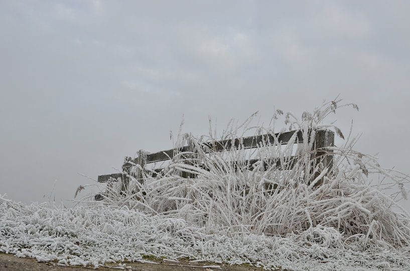 winterse rijp op een hekje von Ruth de Jong