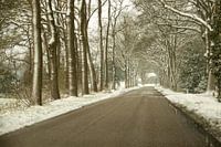 Winterweer