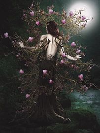 Magnolia by Babette van den Berg