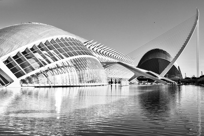 Opera van Valencia van Jan Radstake