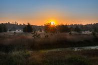 Sonnenaufgang im Geeserwald von Lynxs Photography Miniaturansicht