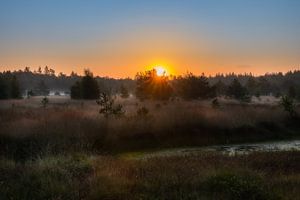 Zonsopkomst in het Geeser bos van Lynxs Photography