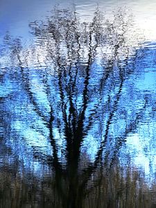 Urban Reflections 100