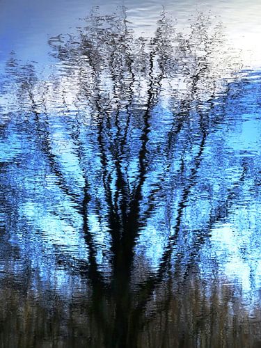 Urban Reflections 100