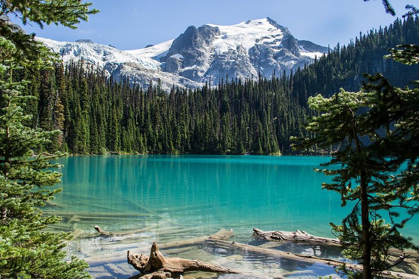 Joffre-Seen-Provinzpark, Kanada von Claudia Esveldt