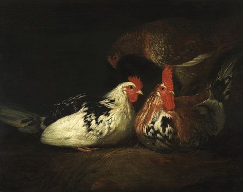 Haan met kippen, Jacob Gerritsz. Cuyp