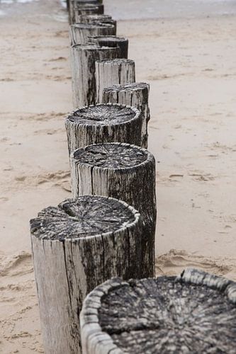 die Linien der Pole von Marjo Dekker