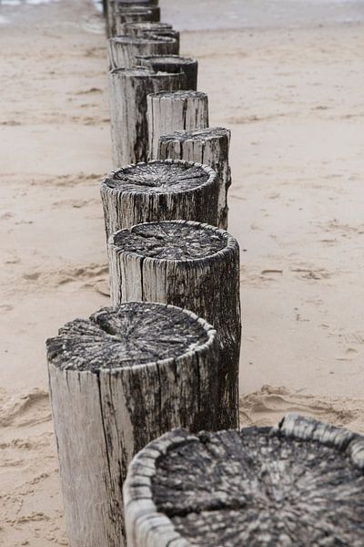 the lines of the poles by Marjo Dekker