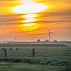 Three Chews Sit by Martijn Tilroe