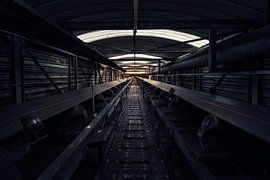 la porte de la lumière sur Dieter Herreman