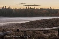 Brouillard terrestre sur la lande.