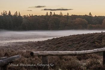 Ground fog on the heath.