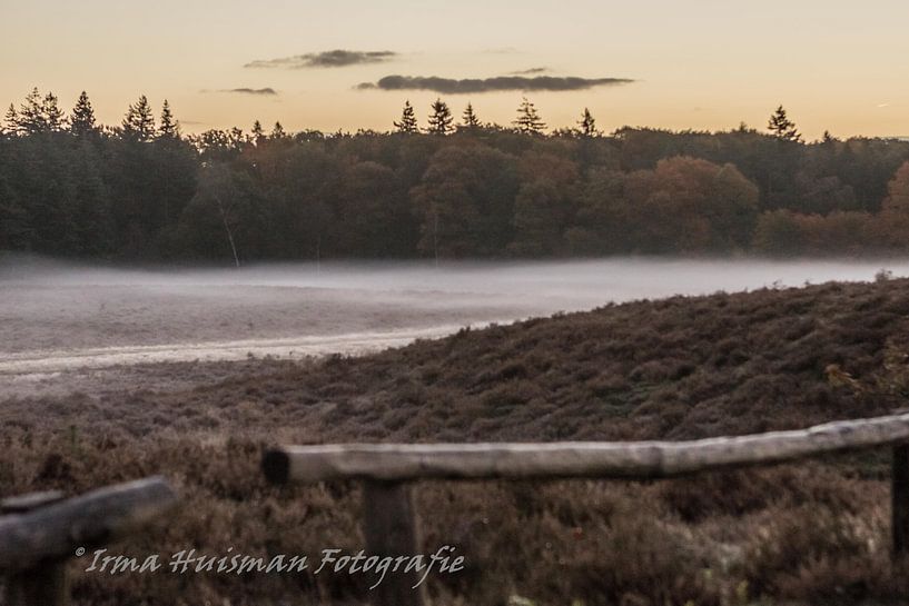 Grondmist op de heide. van Irma Huisman