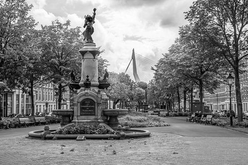De Wilhelminafontein op het Noordereiland in Rotterdam