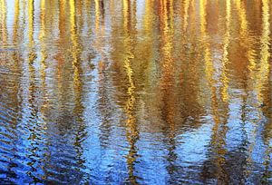 Waterreflecties