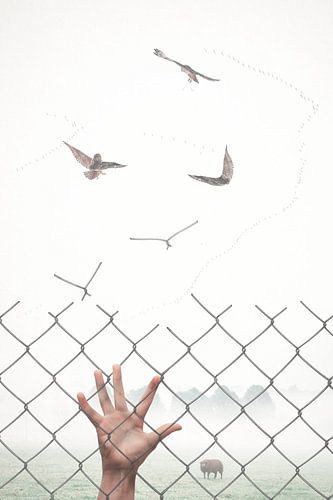 Beeldbewerking: Van Beschadigd IJzeren Hek naar Zwerm Vogels - Symbolische Wanddecoratie