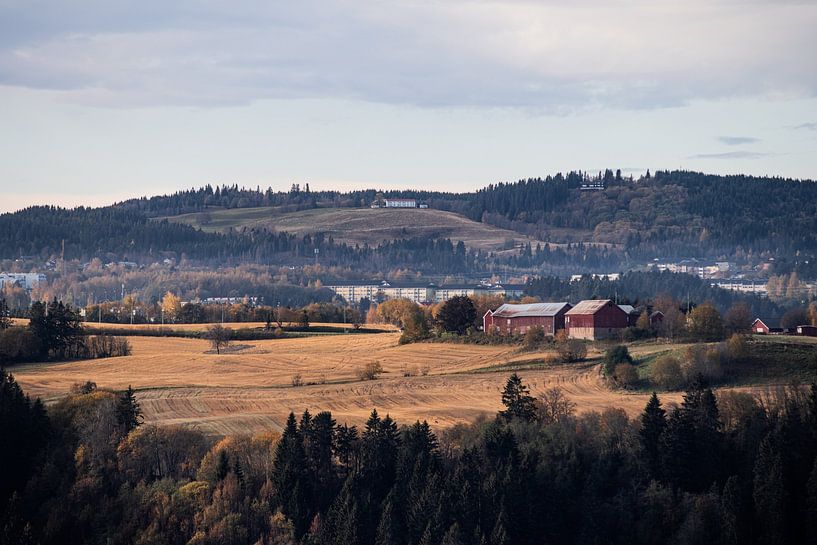 Landleben, Trondheim, Norwegen von Koen Lipman