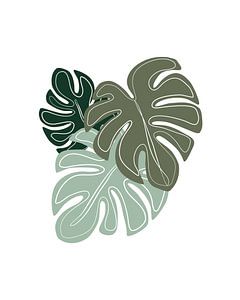 Groene bladeren