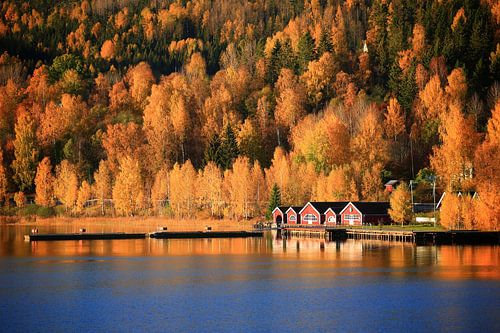 Zweedse herfstkleuren in Docksta