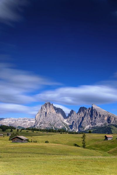Alpe di Siusi, Dolomites by Dirk Rüter