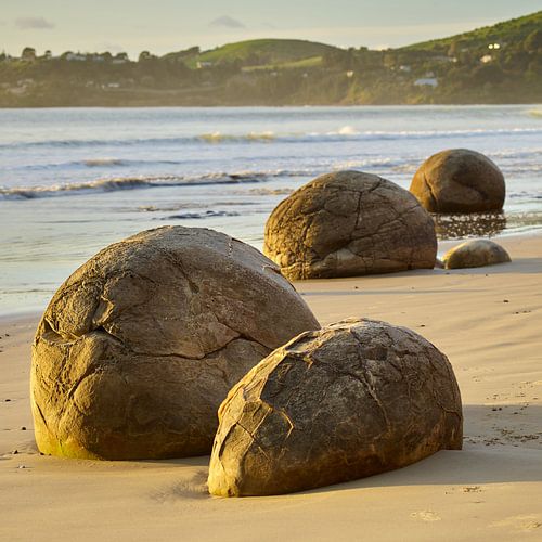 Moeraki Boulders @ Sunrise