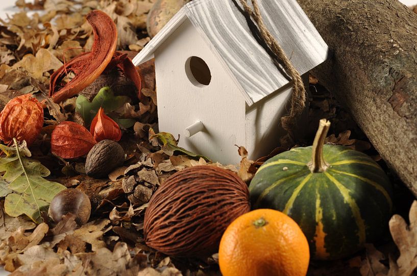 herfst  van Jasper Vierbergen