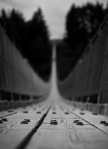 The core of the bridge by Sharon de Groot
