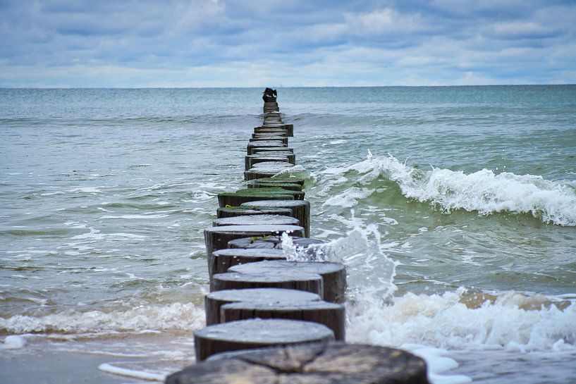 Groyne in Zingst aan de Oostzee, reikt tot in de zee van Martin Köbsch