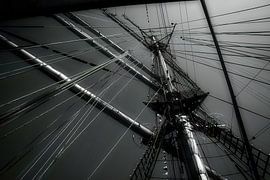 Lines in black - and-white by Evert Jan Looise